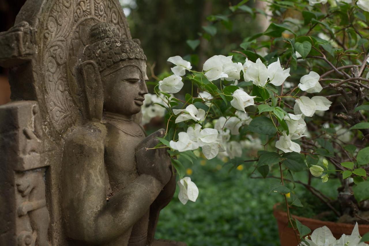 Soma Manaltheeram Ayurveda Beachvillage Kovalam Extérieur photo